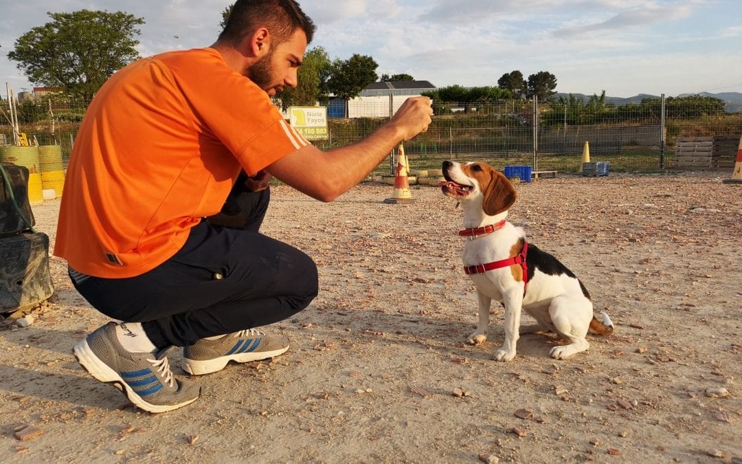 Bimba al Curs de Gossa Jove