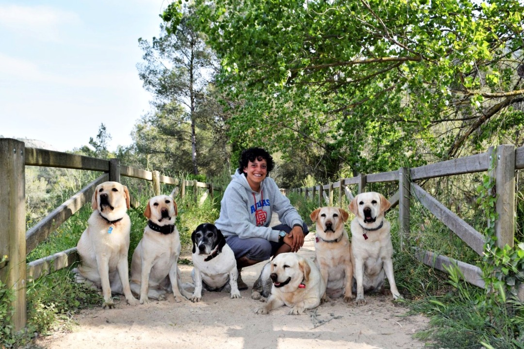 Adiestrador de perros Valencia